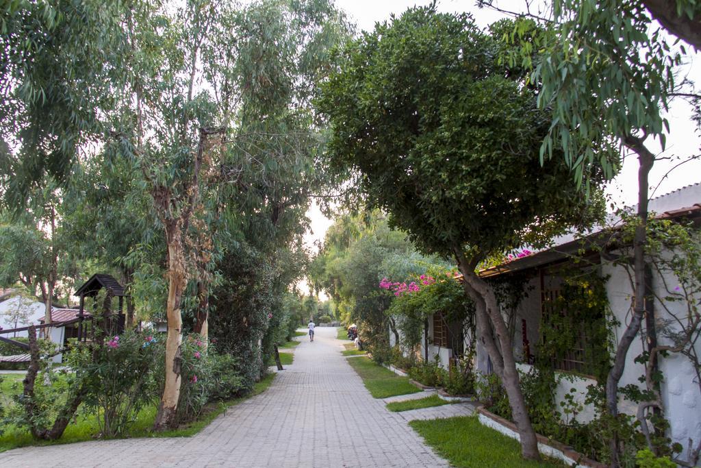 Villaggio Camping Mimosa Nicotera Exterior foto